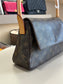 LOUIS VUITTON LOOP BAG