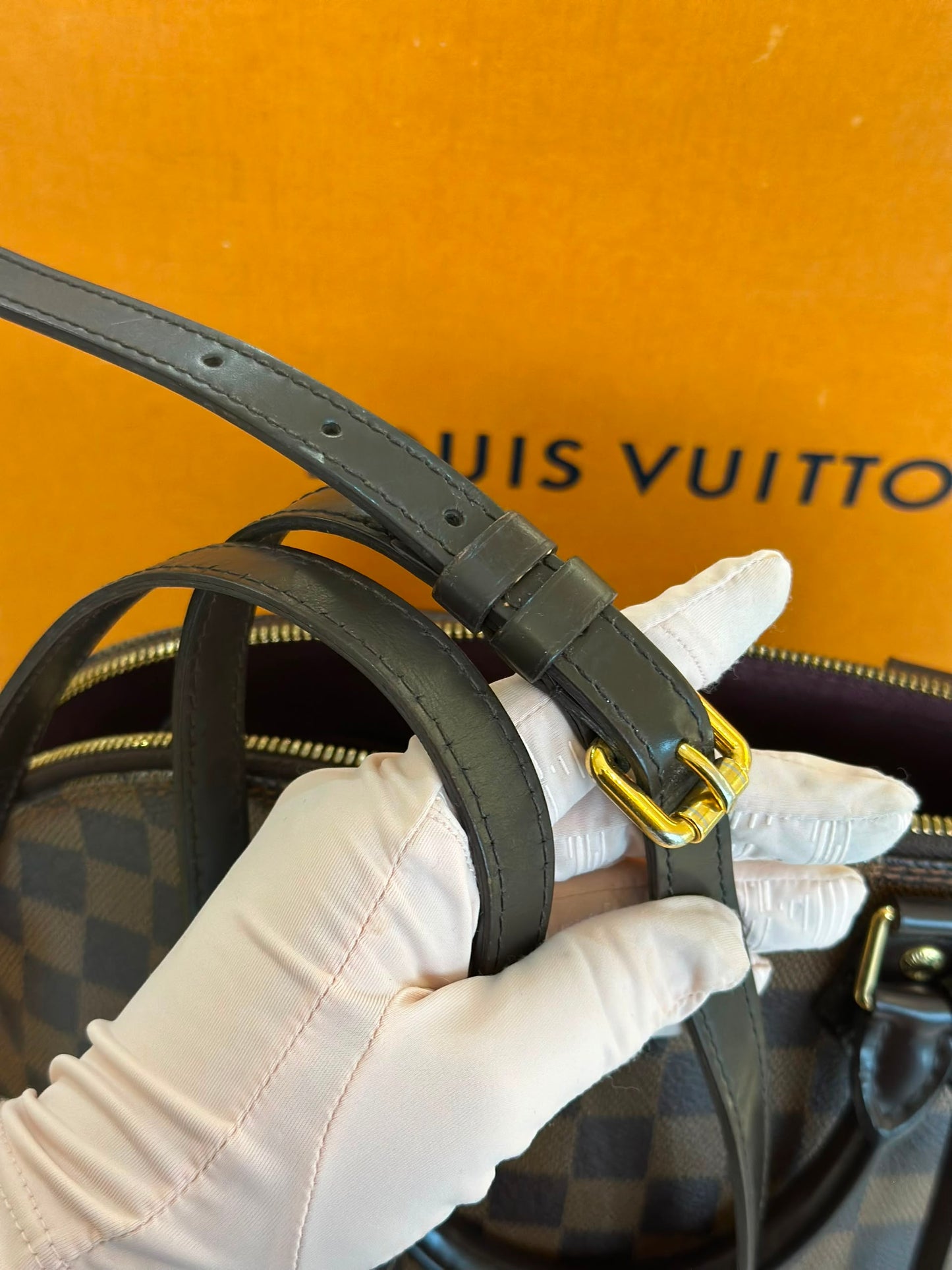 LOUIS VUITTON ALMA PM